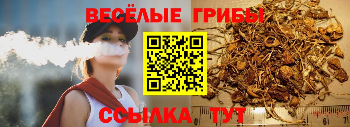 Галлюциногенные грибы Magic Shrooms  Вход с VPN  Реж 